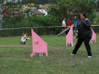 /album/agility-sanca/pict0015k-jpg1/