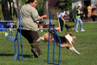 /album/agility-sanca/a090425cc148-jpg/